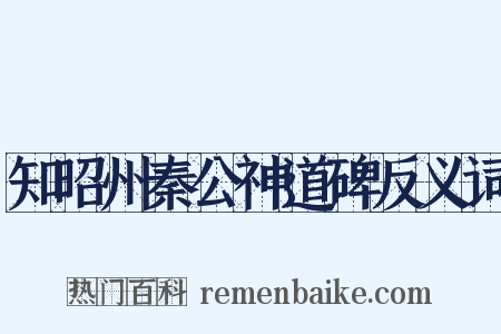 知昭州秦公神道碑反义词是什么意思的图片